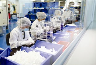 望牛墩每年投千万助企业倍增，办公用品行业迎发展新机遇