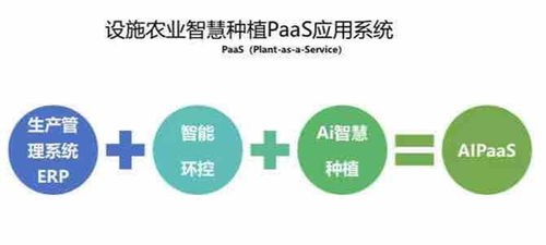 AI赋能农业 回源数据采掘未来行 多驱整合异构 |